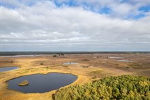 1920px-20221019_Ruinen_-_Dwingelderveld_AIR2S-01059